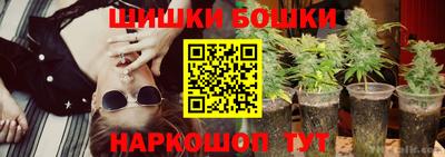 сатива Краснодар